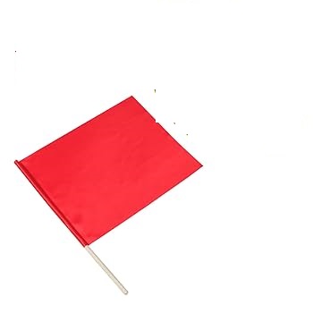 61L3gObZCLL. UF350,350 QL80