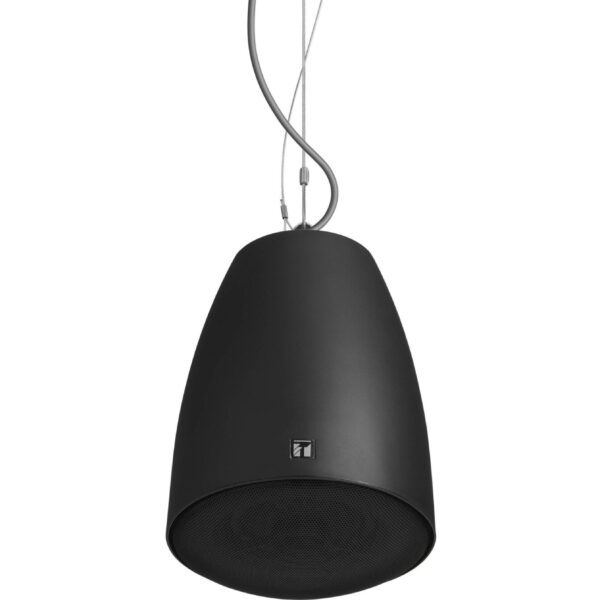 30W Pendant Speaker
