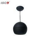 DSPPA DSP107B Pendant Speaker Black Front View