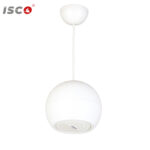 DSPPA DSP107W Pendant Speaker Front2 View