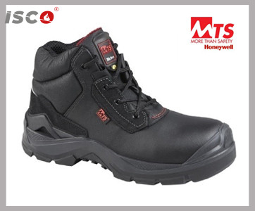 1726474656Product362x300 TCL